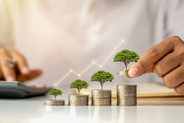 Wealth Management Services